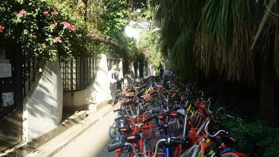 200辆共享单车乱停放!蛇口海上世界沦为重灾区