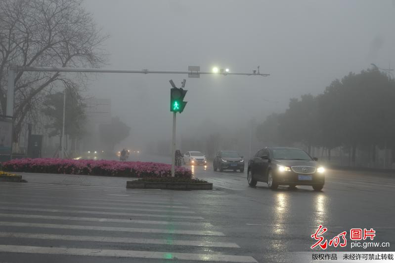 多地迎大雾天气 能见度极低