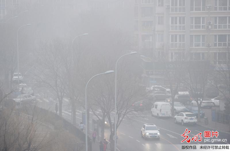 多地迎大雾天气 能见度极低