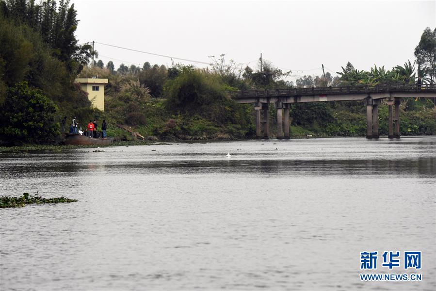 （社会）（4）广东一高龄中华白海豚误入内河