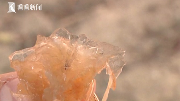 注水肉后又现注胶虾 令虾身更丰满甚至掩盖变质