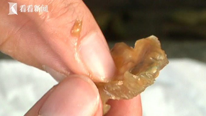 注水肉后又现注胶虾 令虾身更丰满甚至掩盖变质