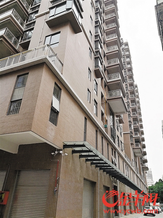 ▲宝安区新桥街道的大型小产权房