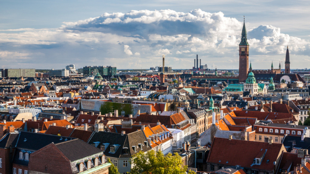 4小时挖300斤!深圳人,你们拯救世界的机会到了