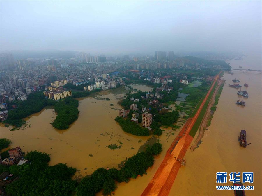 （环境）（3）西江广西藤县段水位超警戒