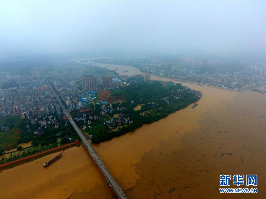 （环境）（9）西江广西藤县段水位超警戒