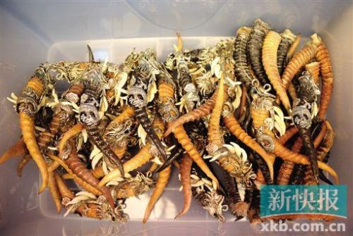 网络男主播被抓 竟因干这事