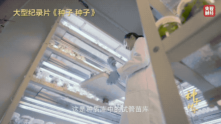 d4ceab7d4a7293d8adcc356370942382_640_wx_fmt=gif&wxfrom=5&wx_lazy=1.gif