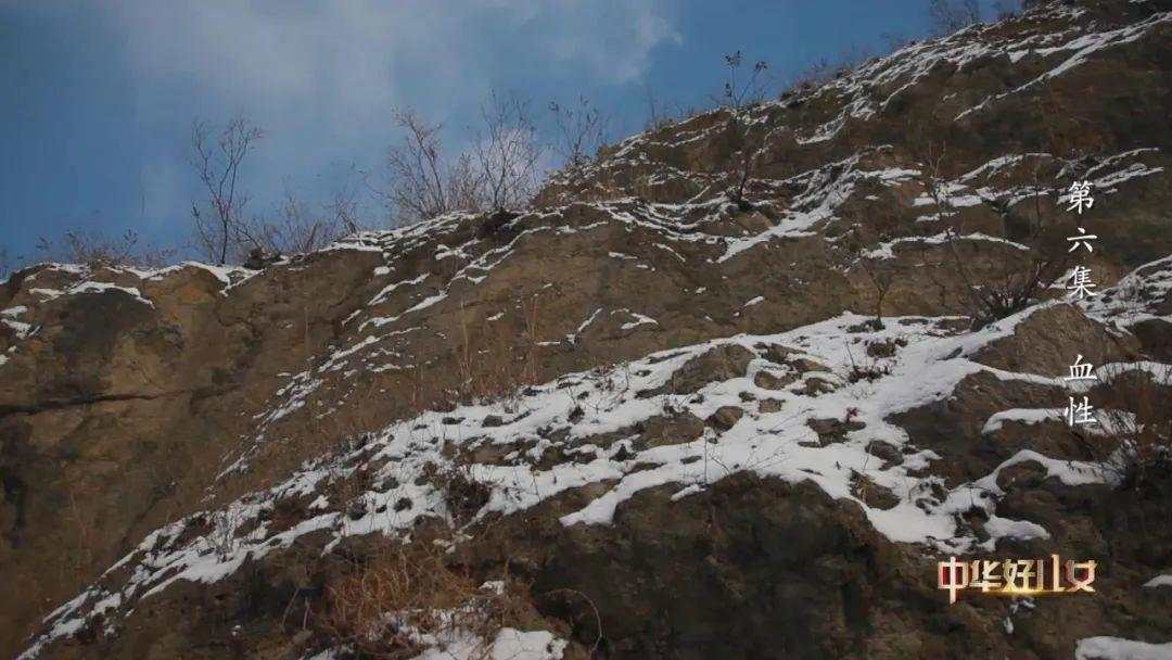 5.jpeg?x-oss-process=style/w10