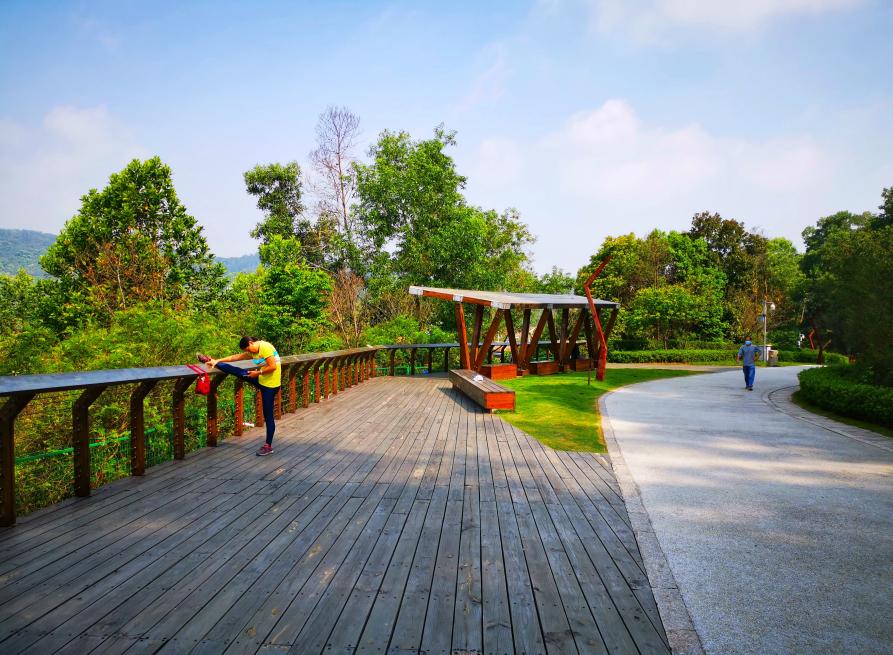 茜坑水库 ●始建于1992年是龙华区重要的饮用水源地之一茜坑水库绿道